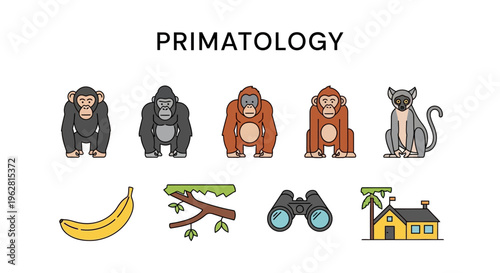 Primatology Research and Animal Studies.