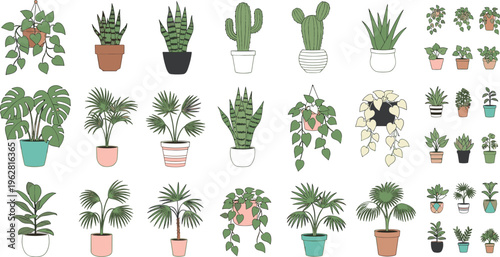 Indoor houseplants collection with tropical leaves, succulents and potted greenery, decorative home plants set, botanical vector illustration isolated on white background