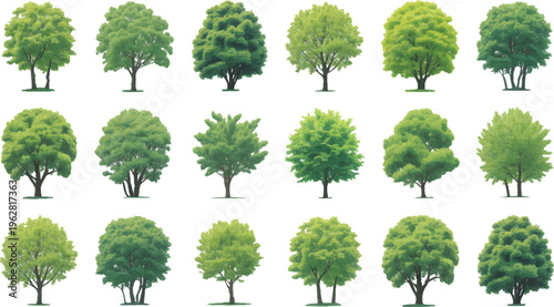 Collection of Green Trees: A curated selection of diverse green trees, showcasing their lush foliage and varied forms, presented as a uniform collection.