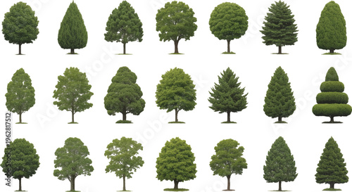 Variety of trees for the garden design: Showcasing a diverse collection of trees, each standing as a unique symbol of nature's artistry. A visual symphony for garden design and landscape composition.