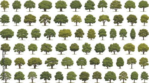 Array of arboreal elegance: A comprehensive collection of various tree species, showcasing the diverse beauty and form of nature's towering structures.