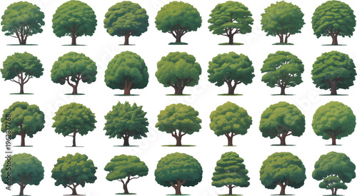 Forest Diversity: A vibrant array of diverse trees showcasing the rich variety of nature's arboreal wonders.