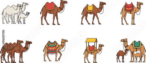 Camel illustrations collection with decorated saddles and different poses, desert animals and caravan elements set, vector wildlife illustration isolated on white background