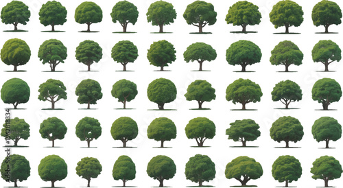 High Definition Large Green Tree Collection Grid Isolated  set  vector design on transparent  Background.