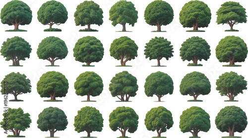 High Definition 25 Green Tree Collection Isolated  set  vector design on transparent  Background.