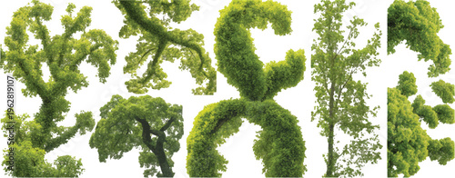 Moss Topiary Letter R Green Tree Monogram Initial Alphabet Graphic Nature Leaf Alphabet Green Foliage Text & Typography Design  set vector design on transparent background
