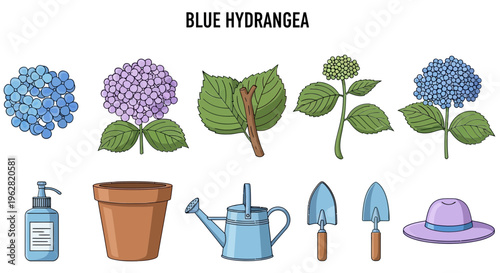 Blue Hydrangea Flowers and Gardening Tools.
