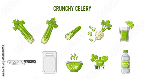 Crunchy celery vegetable healthy food.