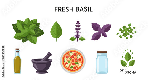 Fresh Basil Herbs and Ingredients.