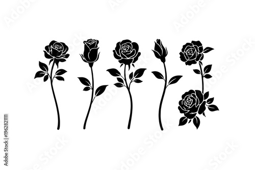 Rose Bloom Silhouette Vector Isolated on White Background
