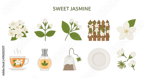 Jasmine tea ingredients and infographic elements.
