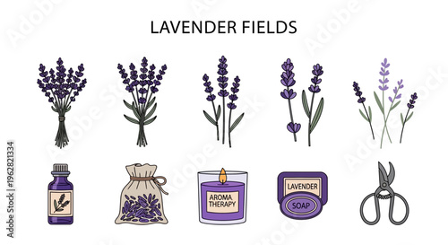 Lavender flowers and products illustration set.