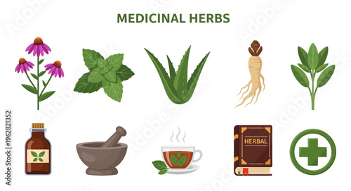 Medicinal herbs and natural remedies concept.