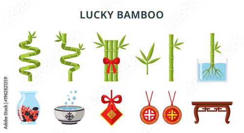 Lucky Bamboo Plant and Chinese New Year Decorations.