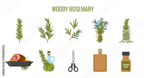 Rosemary herb food ingredients cooking.