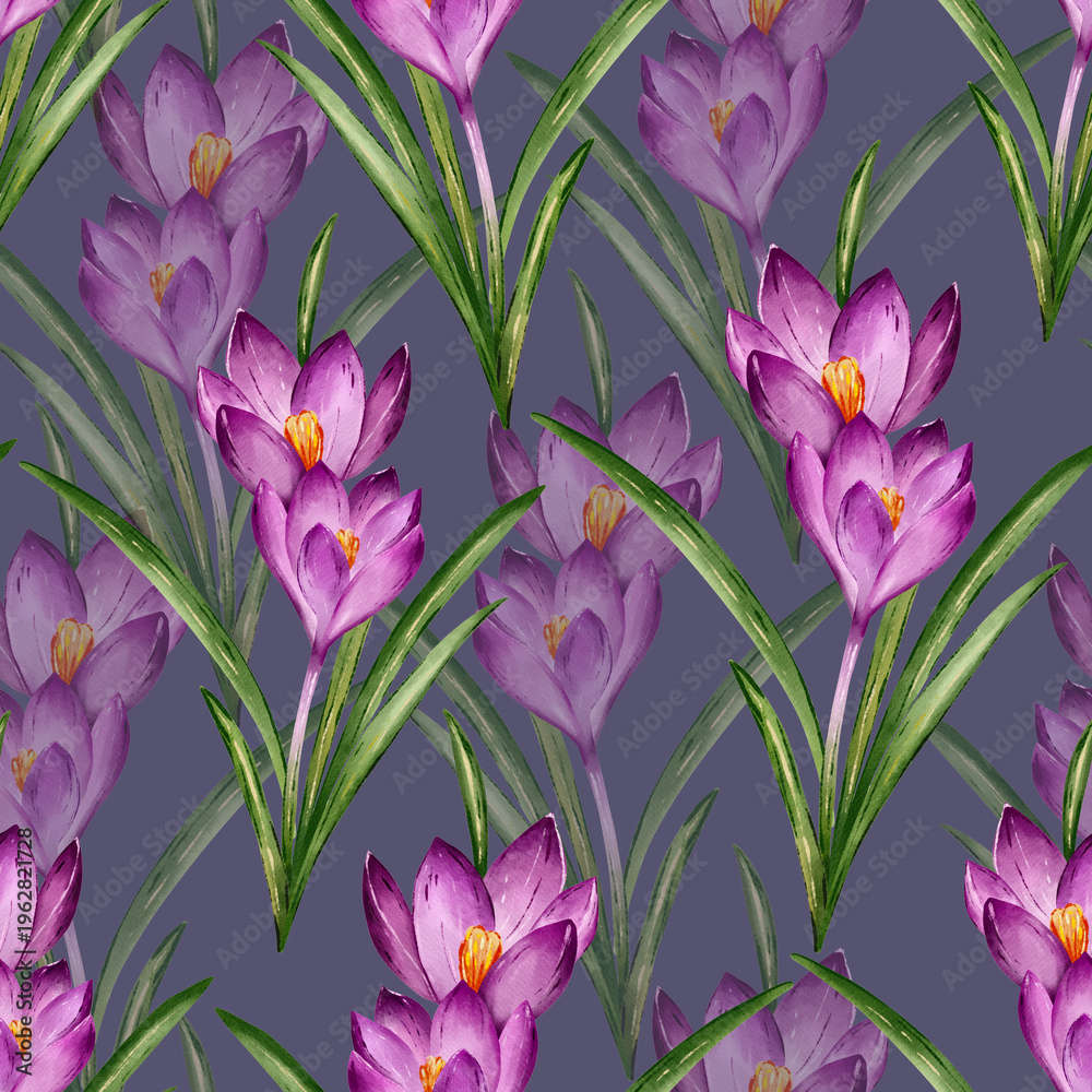 Obraz premium Seamless Pattern of Purple Crocus Flowers and Green Leaves Watercolor