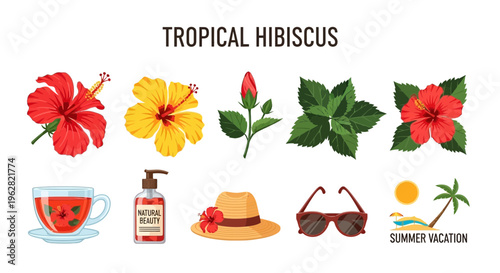 Tropical summer vacation hibiscus flowers icons.