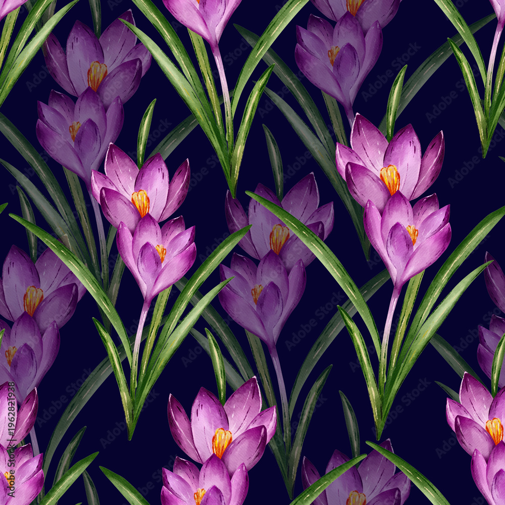 Obraz premium Seamless Pattern Of Purple Crocus Flowers And Green Leaves On Dark Blue Background