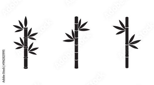 Black bamboo plants with leaves on white background  simple botanical illustration