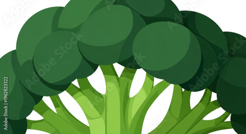Vibrant green broccoli floret with thick stalks on white background healthy food concept for nutrition and wellness