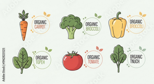 Organic vegetable icons set with labels including carrot broccoli bell pepper turnip tomato and spinach for healthy food and nutrition concepts