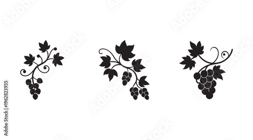 Black silhouettes of grapevine branches with leaves and grapes  isolated on white background