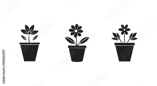 Black silhouettes of potted plants with flowers and leaves on white background  simple botanical icons