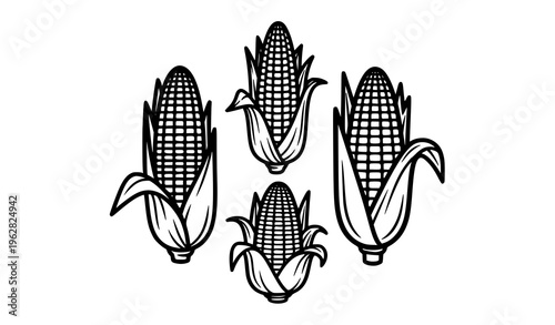 Corn cobs black and white line art vector set isolated agricultural food illustration
