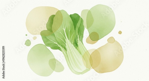 Delicate Watercolor Illustration of Bok Choy with Soft Pale Colors