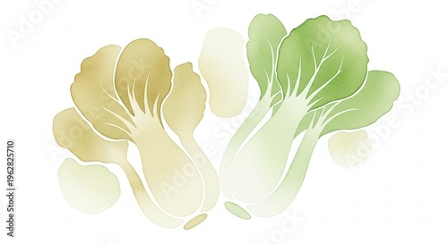 Delicate Watercolor Illustration of Bok Choy with Soft Pale Colors