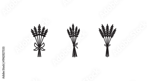 Bouquets of wheat tied with ribbons in various styles on white background  wheat bundles for harvest or agricultural themes
