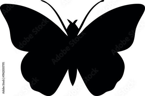Black butterfly silhouette on white background illustration