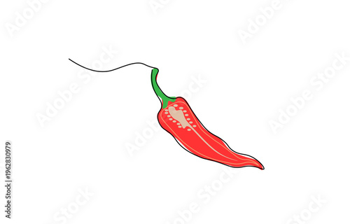 Single red chili pepper continuous line vector illustration