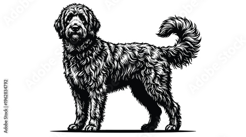 Black and white illustration of a shaggy dog standing on a surface