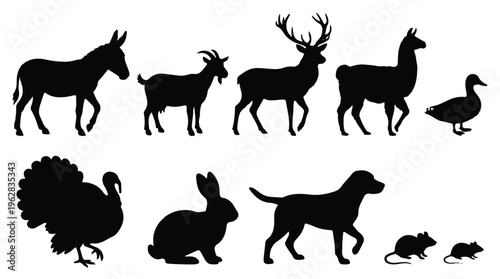 black silhouettes of various animals on white background