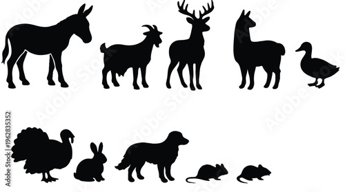 black silhouettes of various animals on white background