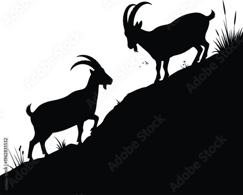 Black silhouette goats on steep hillside with curved horns, climbing and standing, mountain wildlife nature vector illustration artwork