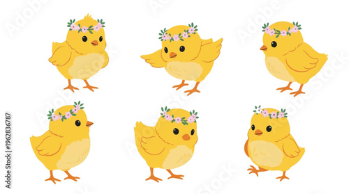 Cute cartoon chicks wearing flower crowns on white background