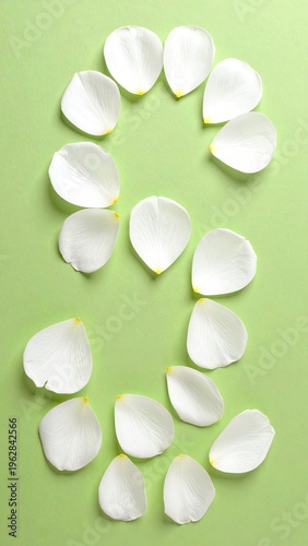 White petals shaped into a spiral against a soft green backdrop