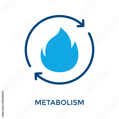 Metabolism Icon Dual Tone Style. Vector Illustration For Graphic Design