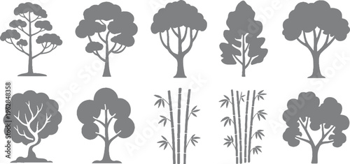 Collection of stylized grey tree and bamboo silhouettes on white background