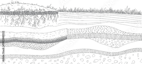 Cross section of soil layers showing grass roots and different sediment textures earth ground