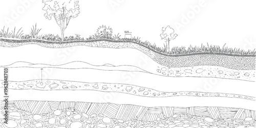 Cross section of earth layers showing soil grass trees and geological strata