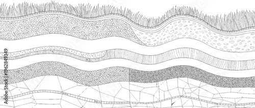 Cross section of soil layers with grass on and geological strata below geology