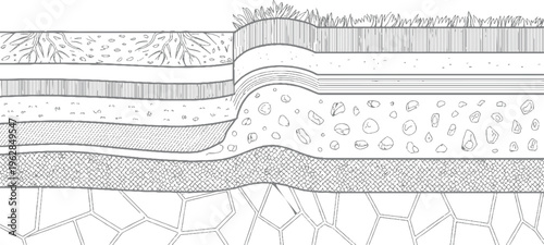 Cross section of layered soil strata with grass roots and rocks earth ground layers
