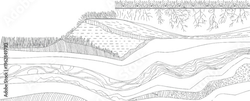 Cross section diagram of soil layers with grass roots and geological strata