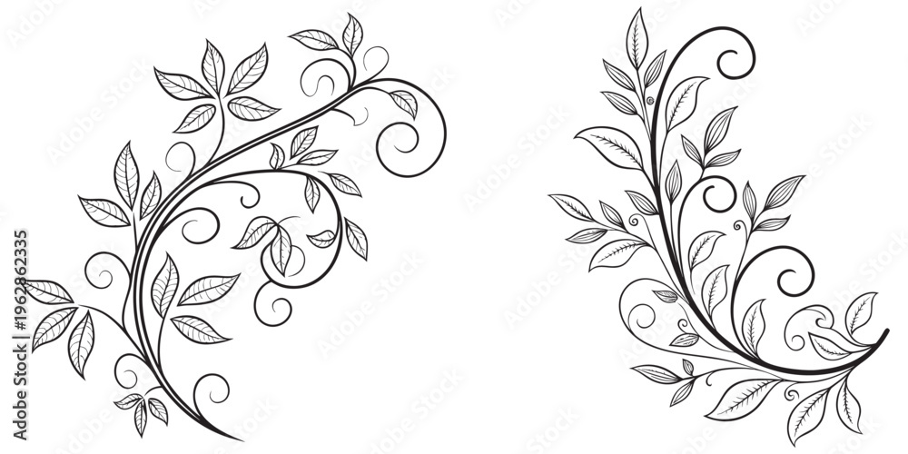Obraz premium Black ivy leaf swirl floral branch outline ornament vector eps 10