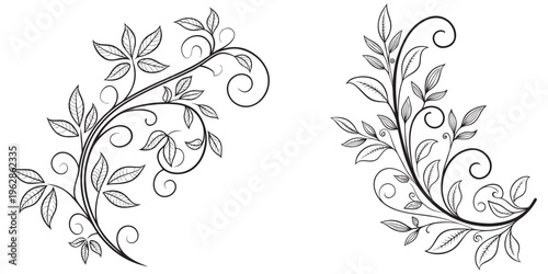 Black ivy leaf swirl floral branch outline ornament vector eps 10