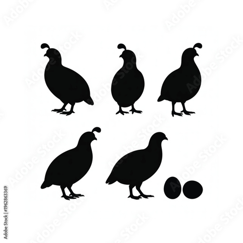 A magnifying glass focuses on a detailed human eye illustration