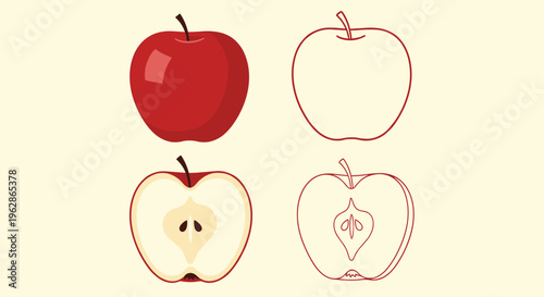 Four variations of a ripe red apple including a solid colored version, a simple outline, a cut half, and a detailed linear drawing style.